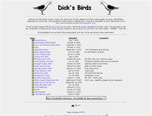 Tablet Screenshot of magikbirds.com